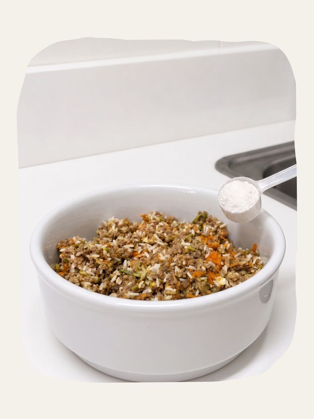 Refeição natural produzida pela Meu Pet Nutri